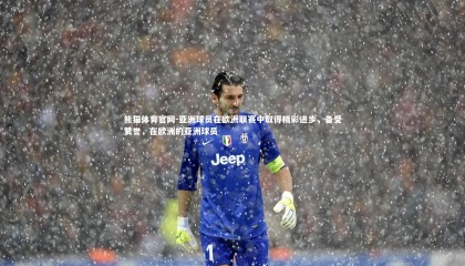 熊猫体育官网-亚洲球员在欧洲联赛中取得精彩进步，备受赞誉，在欧洲的亚洲球员