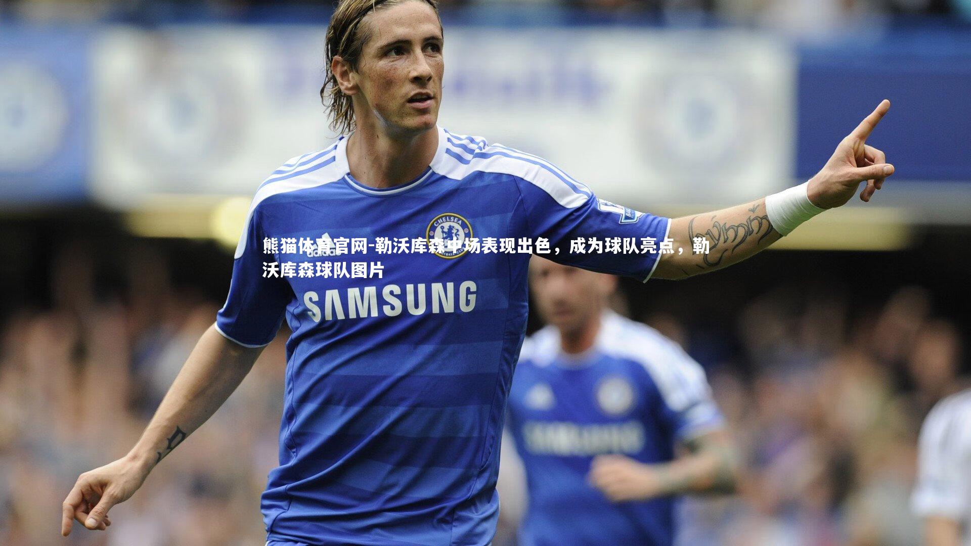 勒沃库森中场表现出色，成为球队亮点，勒沃库森球队图片