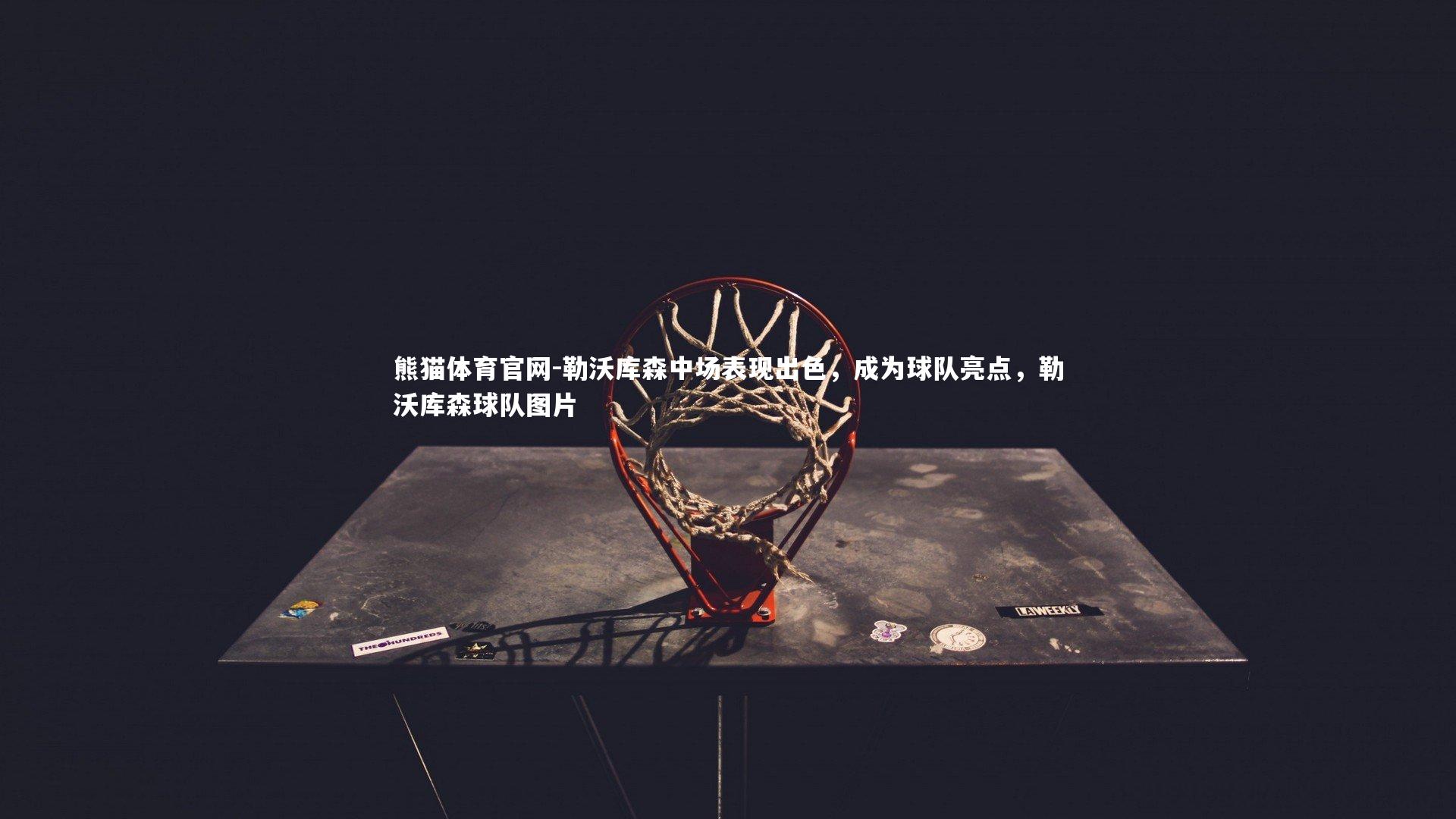 勒沃库森中场表现出色，成为球队亮点，勒沃库森球队图片