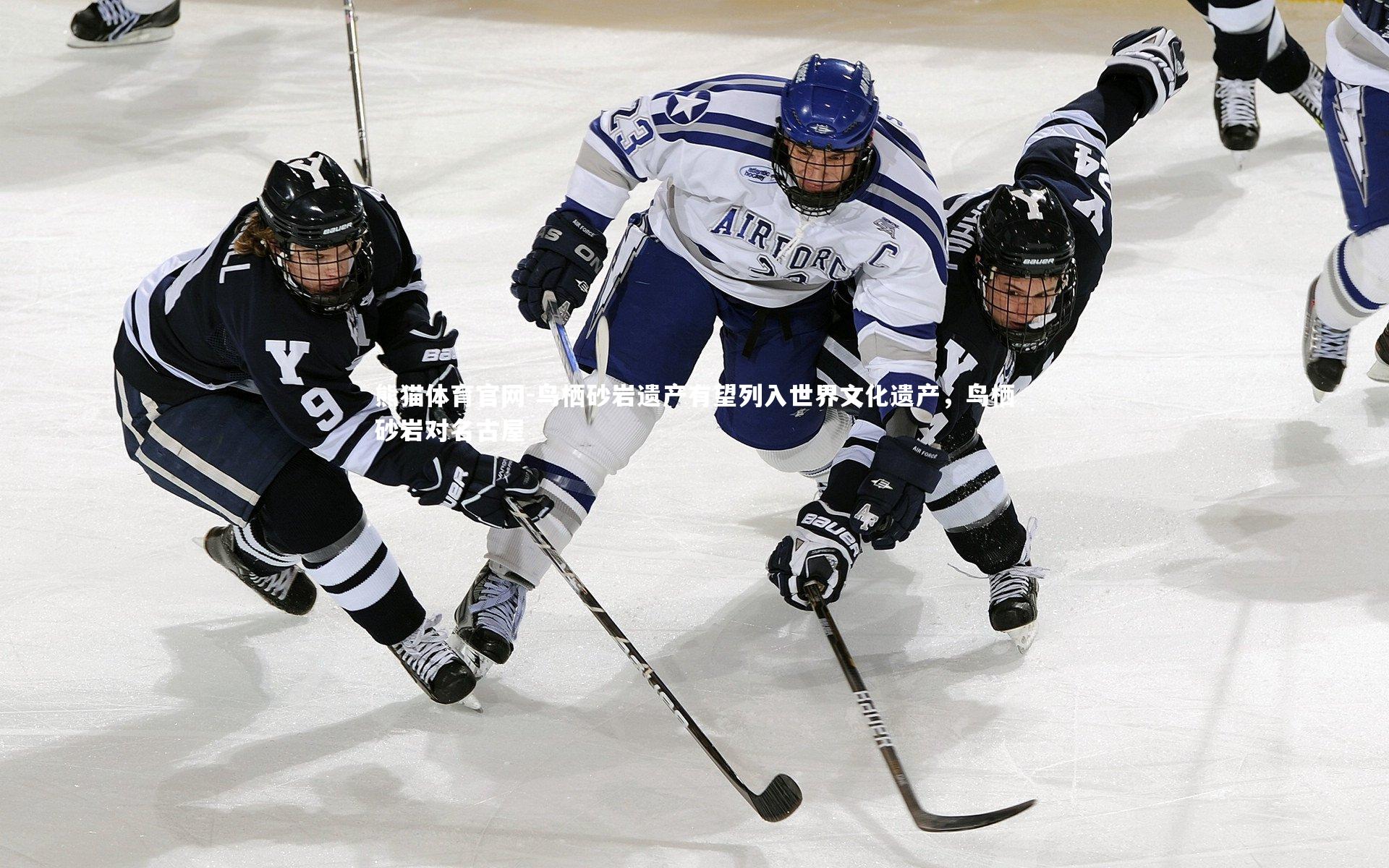 鸟栖砂岩遗产有望列入世界文化遗产，鸟栖砂岩对名古屋