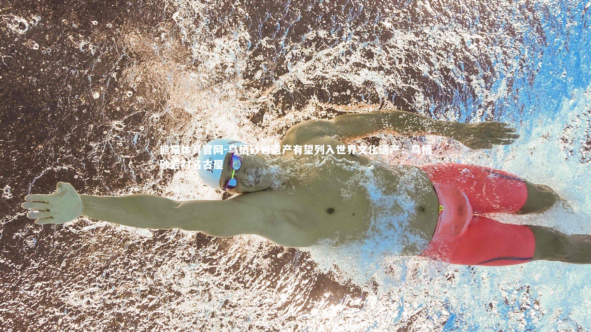 鸟栖砂岩遗产有望列入世界文化遗产，鸟栖砂岩对名古屋