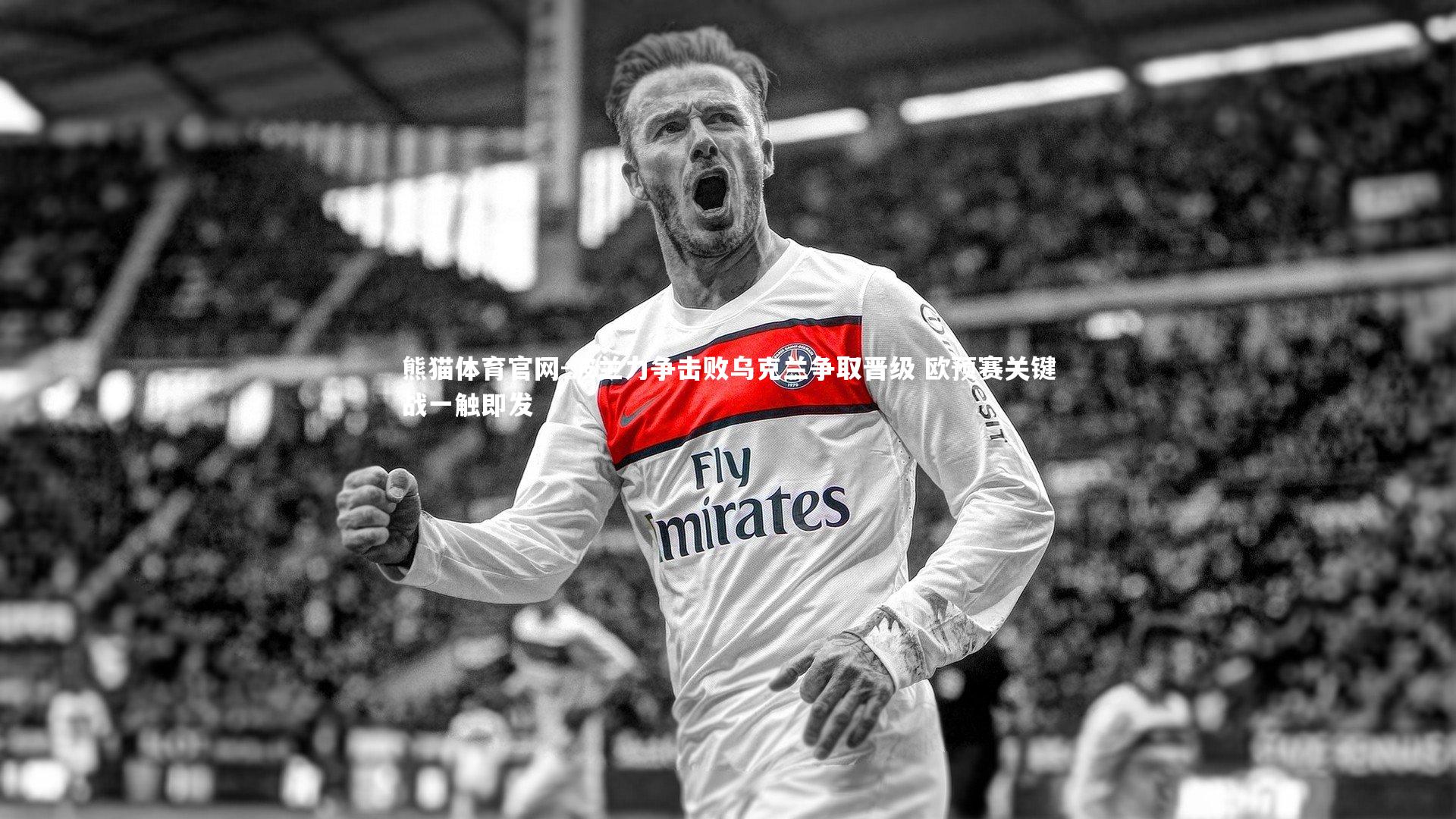 波兰力争击败乌克兰争取晋级 欧预赛关键战一触即发